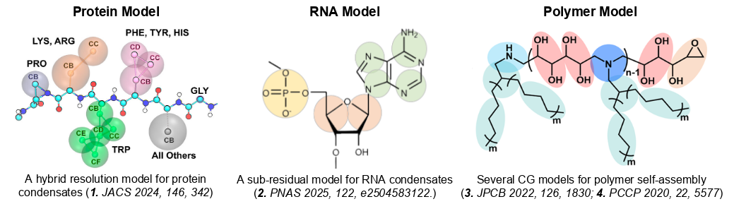 Efficient Models for Biomolecules and Polymers